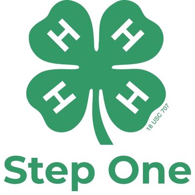 
Gemini said
The 4-H logo, a green four-leaf clover with a white "H" on each leaf, positioned above the green text "Step One."