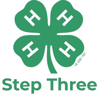 Gemini said The 4-H logo, a green four-leaf clover with a white "H" on each leaf, positioned above the green text "Step Three."