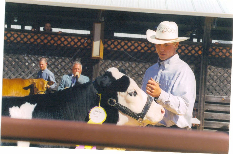 A young man in a white cowboy hat and light blue button-down shirt stands proudly with a black and white steer at a livestock show. The steer wears a leather halter and a bright yellow award ribbon. In the background, an announcer speaks into a microphone and another participant handles a brown calf under the rafters of an open-air arena.