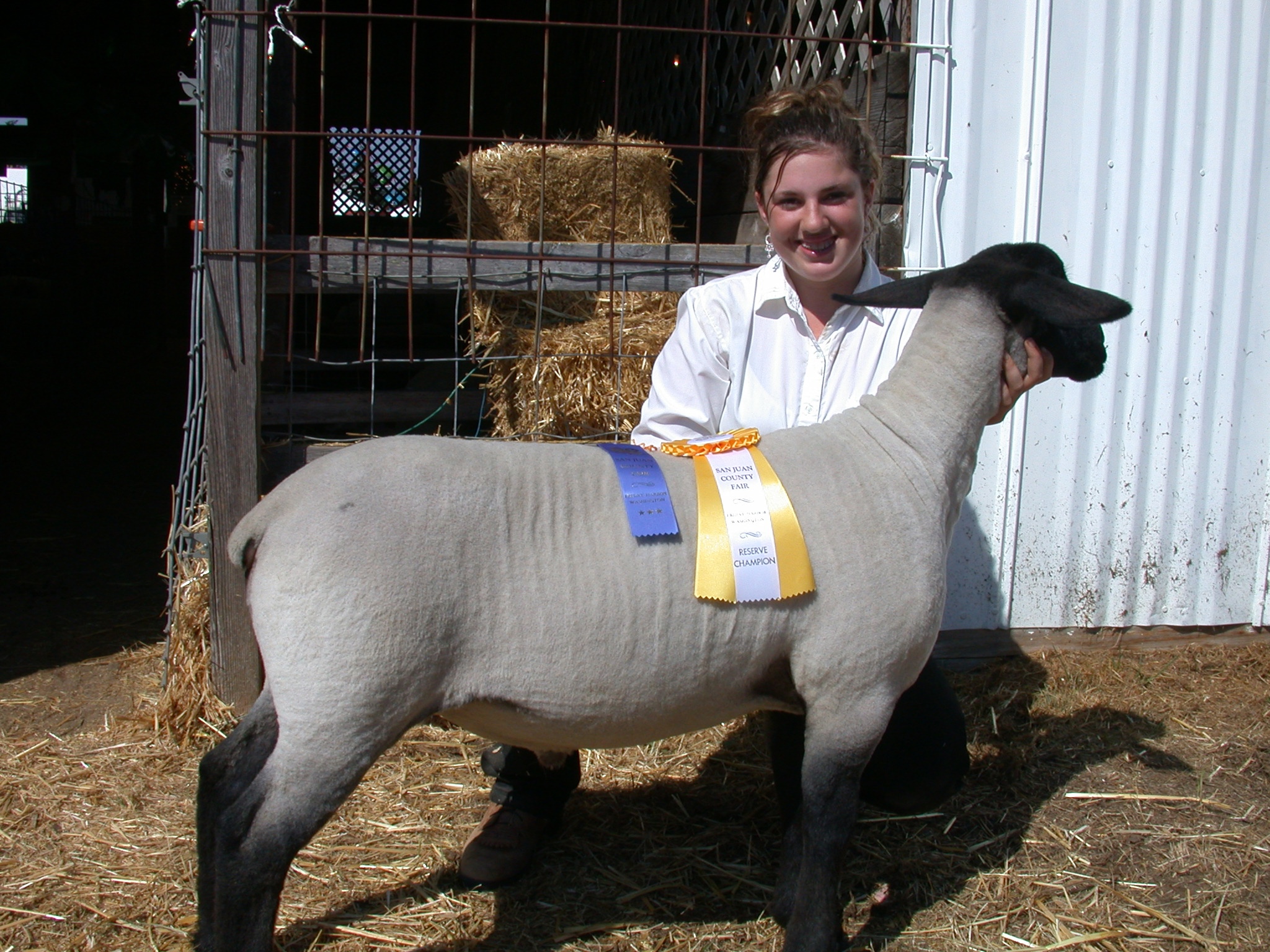 A smiling young woman in a white shirt kneeling behind a black-faced sheep that is wearing a blue ribbon and a yellow "Reserve Champion" ribbon.