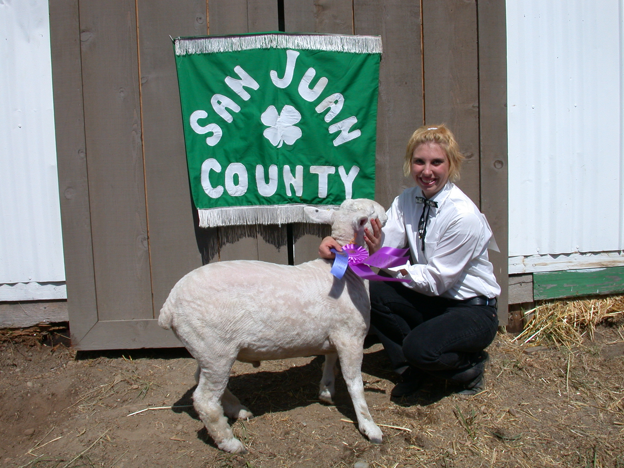 A smiling young woman in a white dress shirt and black trousers kneeling with a white-faced sheep that has a blue award & grand champion ribbon attached to its neck, in a barn setting