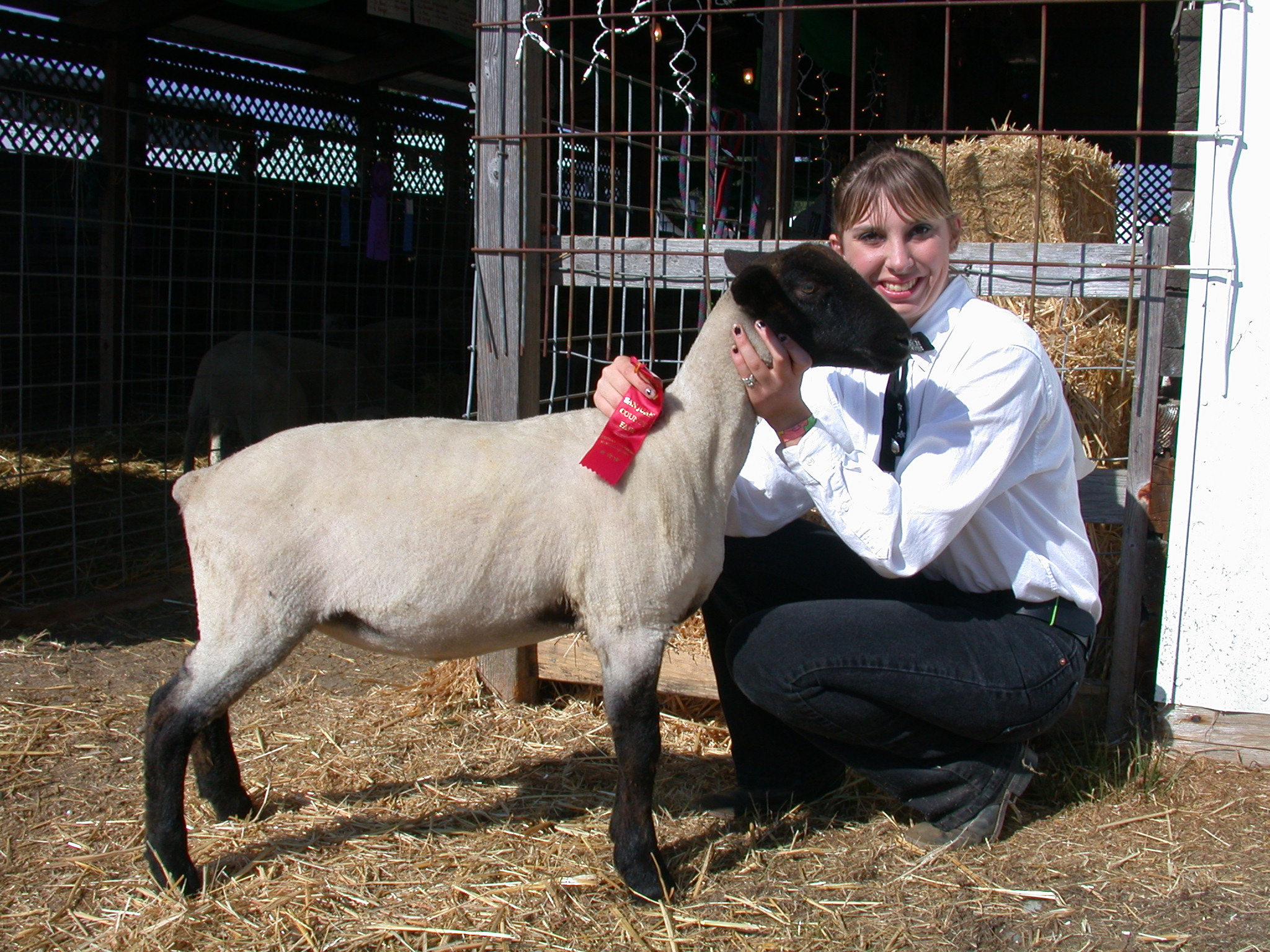 A smiling young woman in a white dress shirt and black trousers kneeling with a black-faced sheep that has a red award ribbon attached to its neck, in a barn setting with straw on the ground.