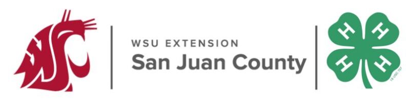 WSU Extension San Juan County logo featuring the crimson Washington State University Cougar head on the left and the green 4-H four-leaf clover on the right.
