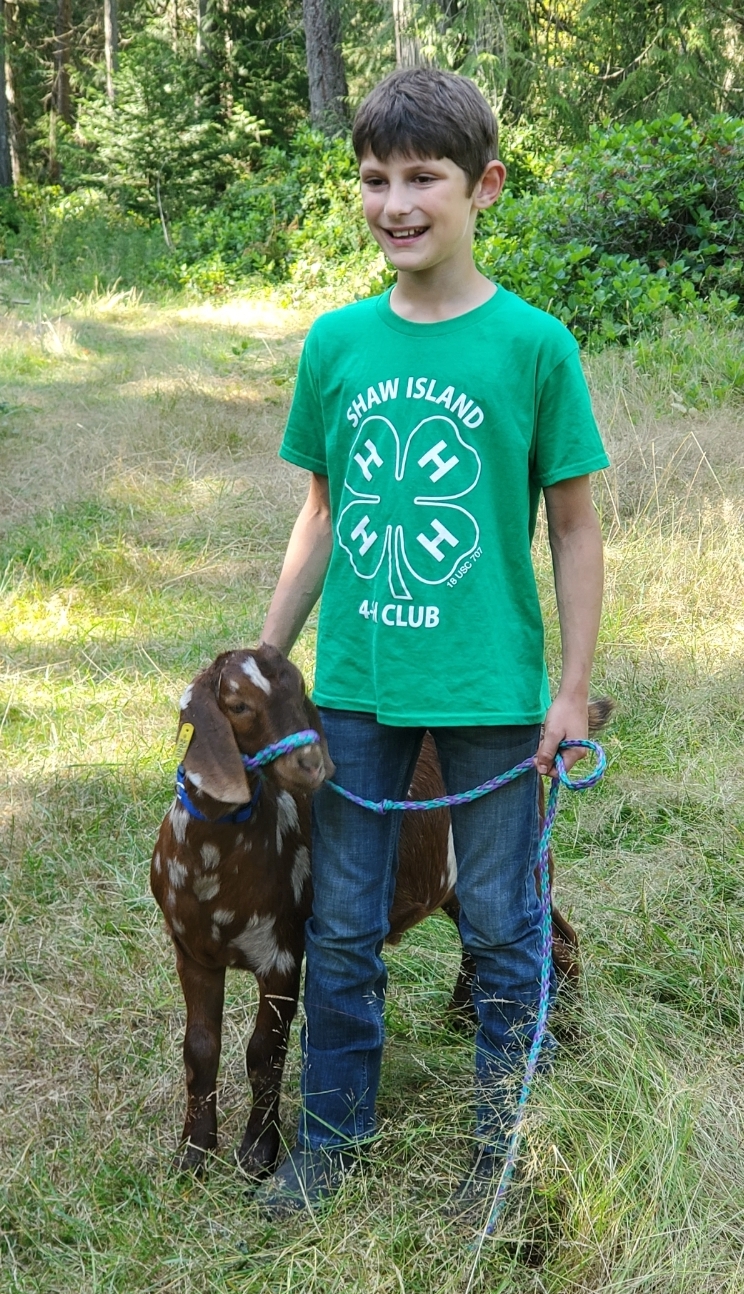 A young boy wearing a green 4-H t-shirt and jeans stands in a grassy field holding the lead rope of a brown and white spotted goat.