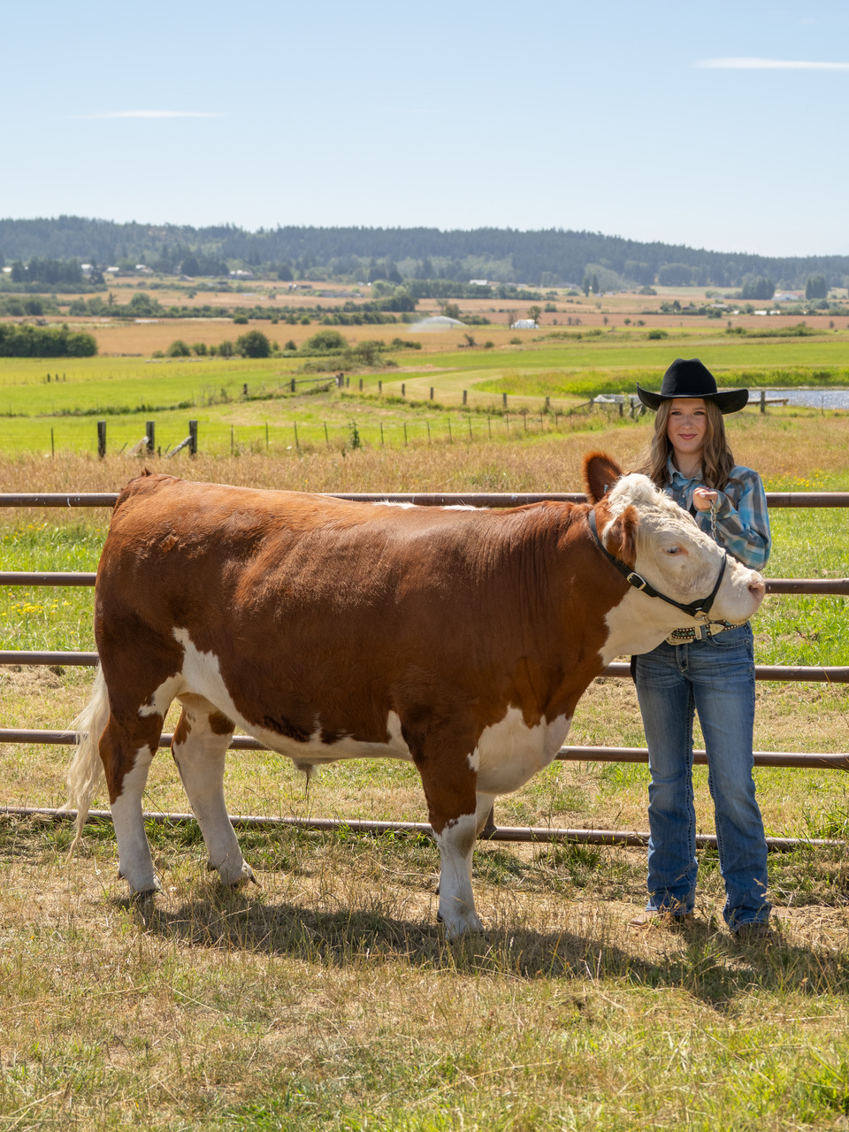 A young boy in a Western-style shirt and jeans stands in a sawdust-covered arena, holding the halter of a large brown and white steer during a livestock show.