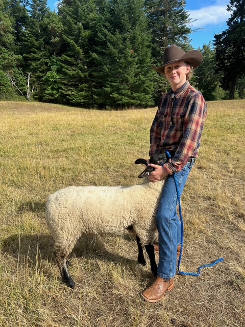 A boy wearing a cowboy hat, plaid shirt, and jeans stands in a grassy field next to a market lamb with a black face and white fleece.