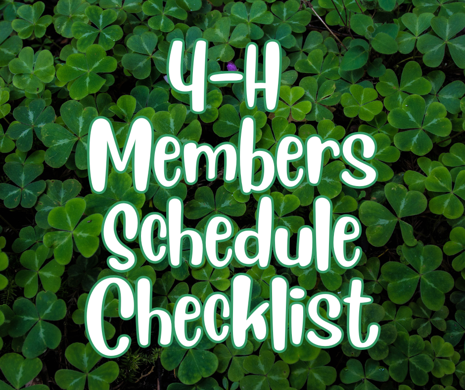White stylized text reading "4-H Members Schedule Checklist" outlined in green over a bed of green clovers.