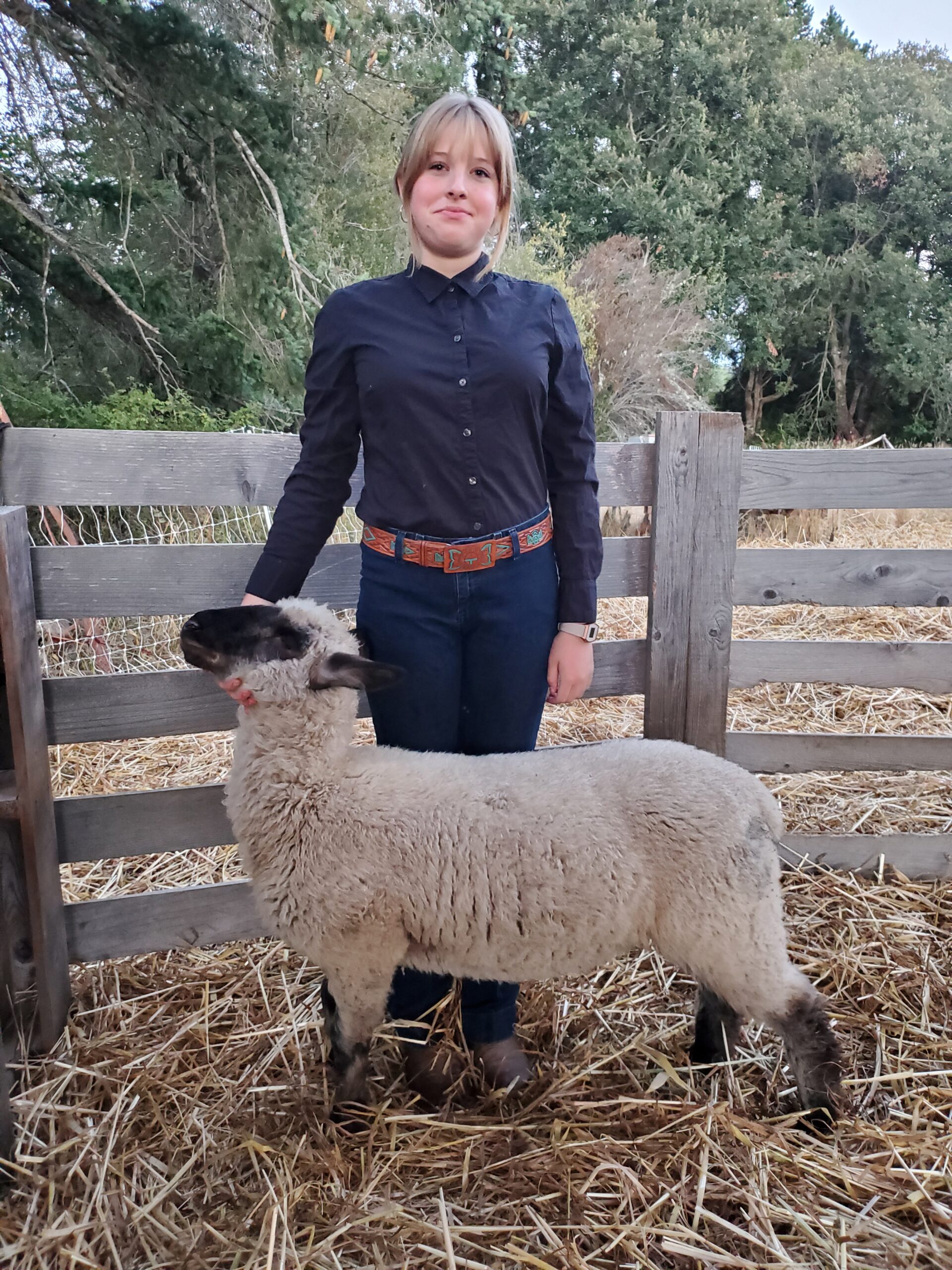 A young person in a black long-sleeved button-up shirt and dark blue jeans standing behind a white sheep with dark face and legs inside a wooden fence pen.