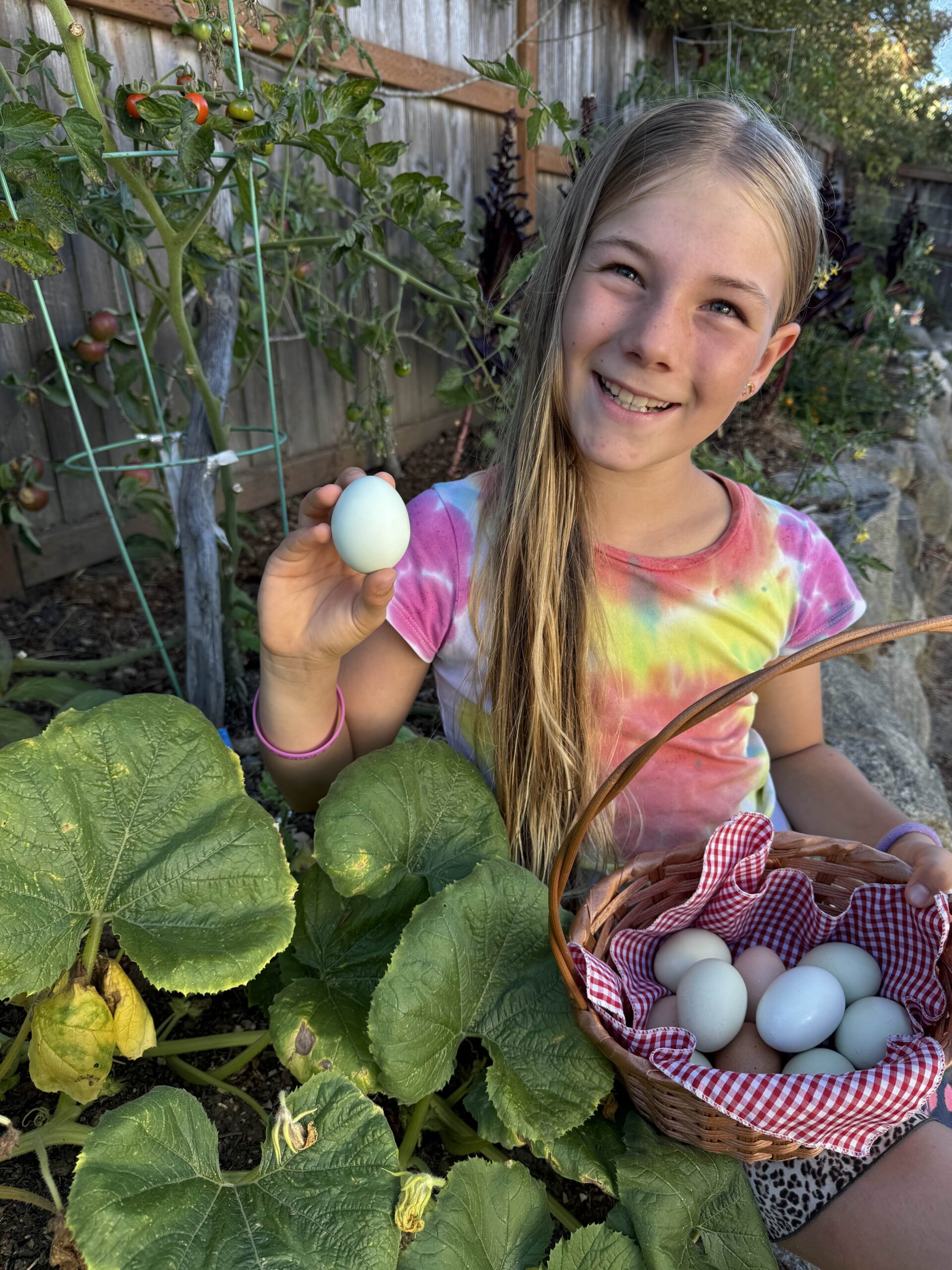 4-H member displaying a blue egg while sitting in a garden with a basket of eggs and vegetable plants.