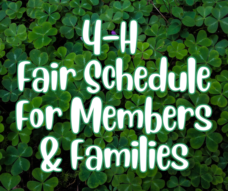 White stylized text reading "4-H Fair Schedule For Members & Families" outlined in green over a bed of green clovers.