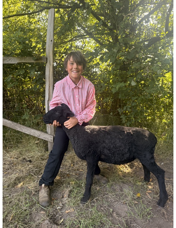 A smiling boy wearing a pink and white checkered button-up shirt standing outdoors beside a black sheep while gently holding its head.