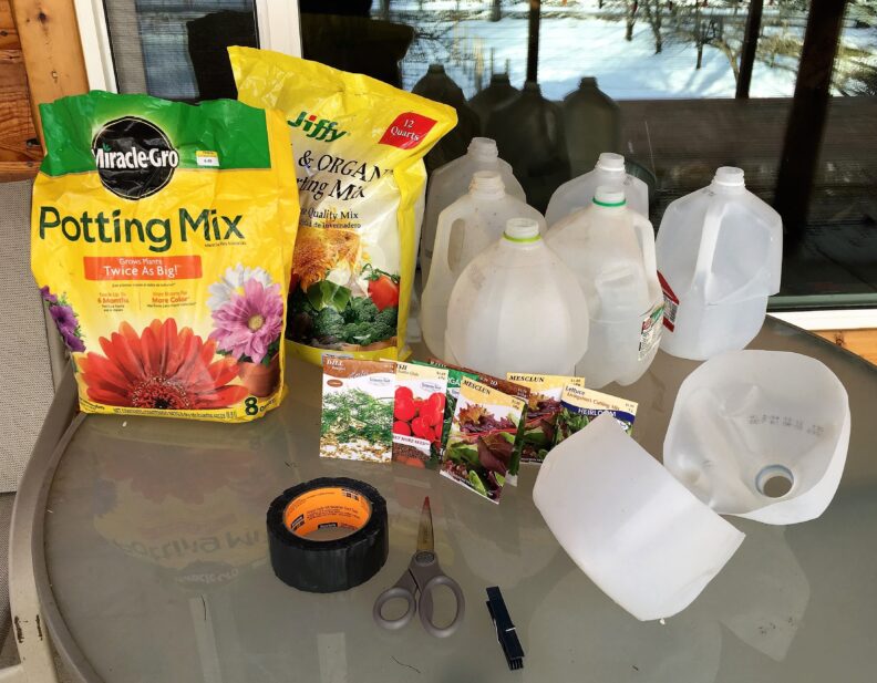 Materials for making Milk Jug Greenhouses: Soil, gallon milk jugs, scissors, duct tape, seeds