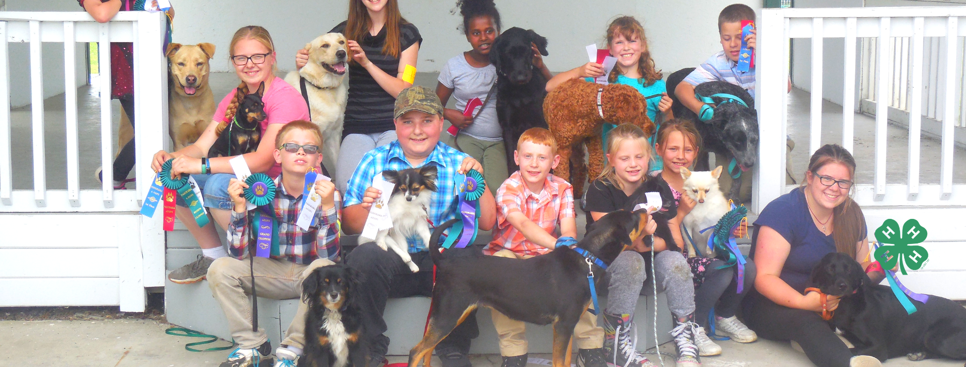 Youth and their dogs