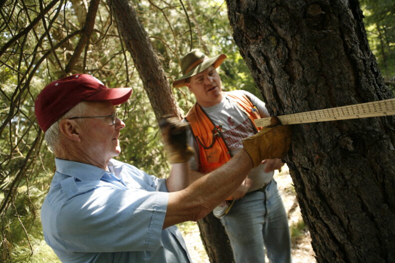 Two people looking at a tree.