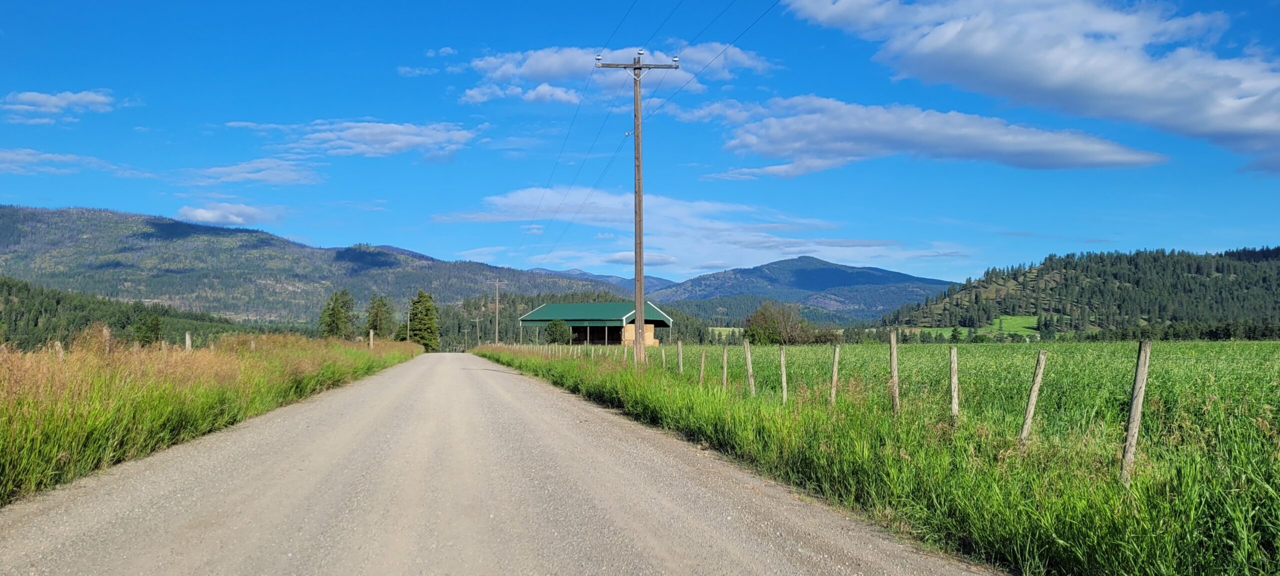 County road with fence posts and hay field