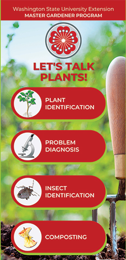 Lets Talk Plants! Plant Identification-Problem Diagnostics-Insect Identification-Composting
