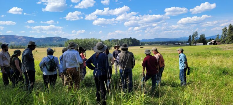 Group of people standing in a field talking. 