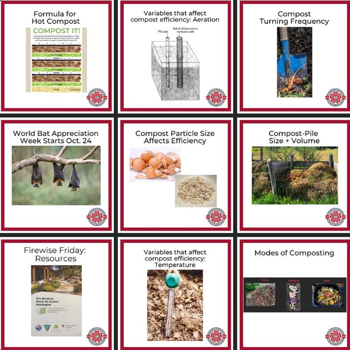 Sample Facebook posts from Stevens County Master Gardeners Facebook Page