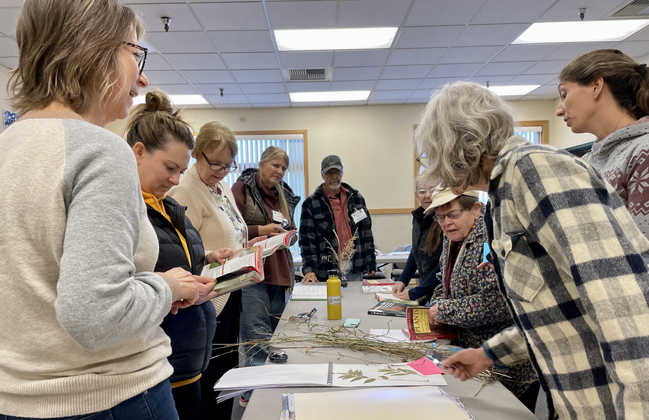 Master Gardener students learning about Plant Identification