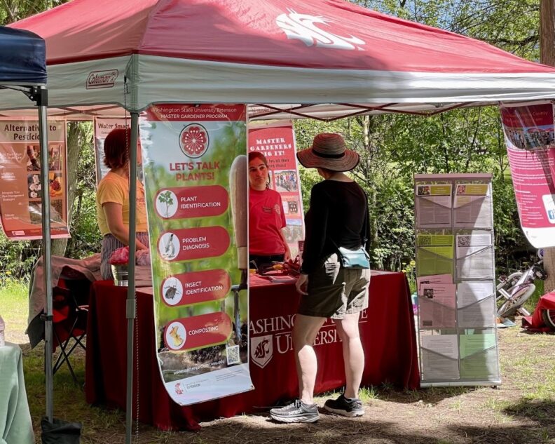 Master Gardener booth at Chewelah Farmers Market. 2 Master Gardeners answering a question for a visitor to the booth.