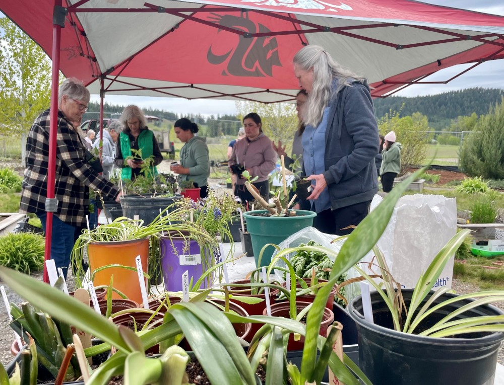 Customers with plants in the foreground.