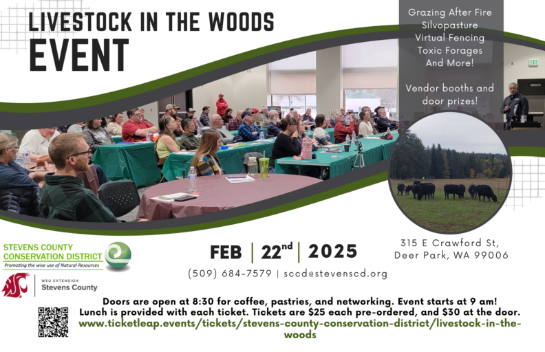Livestock in the Woods Event, picture of people in a classroom setting, Learn: Grazing After Fire, Silvopasture, Virtual Fencing, Toxic Forages and More. Vendor booths and door prizes. Feb 22nd 2025, 315 E. Crawford St., Deer Park, WA 99006. 509-684-7579. sccd@stevenscd.org. Doors are open at 8:30 for coffee, pastries, and networking. Event starts at 9am. Lunch is provided with each ticket. Tickets are $25 each pre-ordered, and $30 at the door.