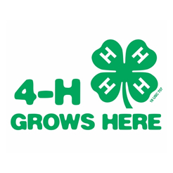 4-H Grows Here with 4-H shamrock logo