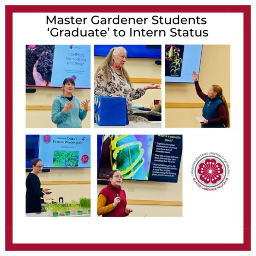 5 of 7 Master Gardener Students shown giving their student presentations on the last day of Basic Training.