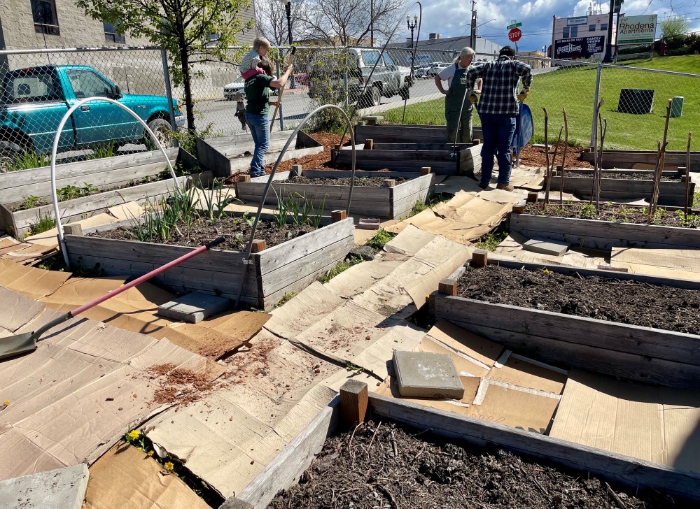 Raised bed garden with cardboard laid on the pathways between the beds to act as a first step for weed suppression.