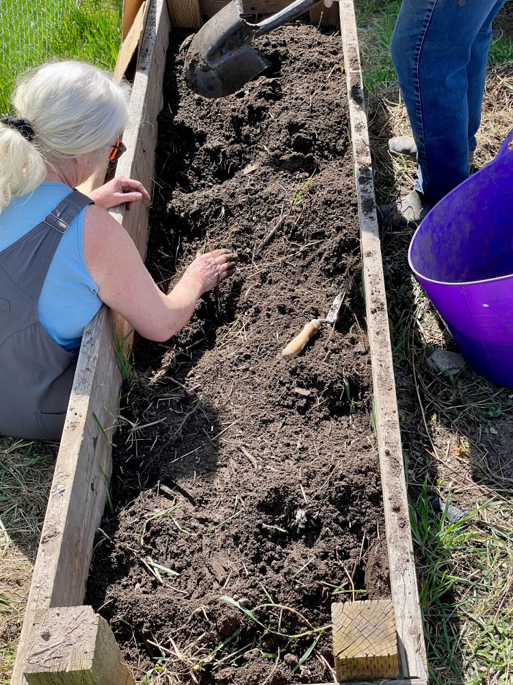 Wood chips in the demo garden