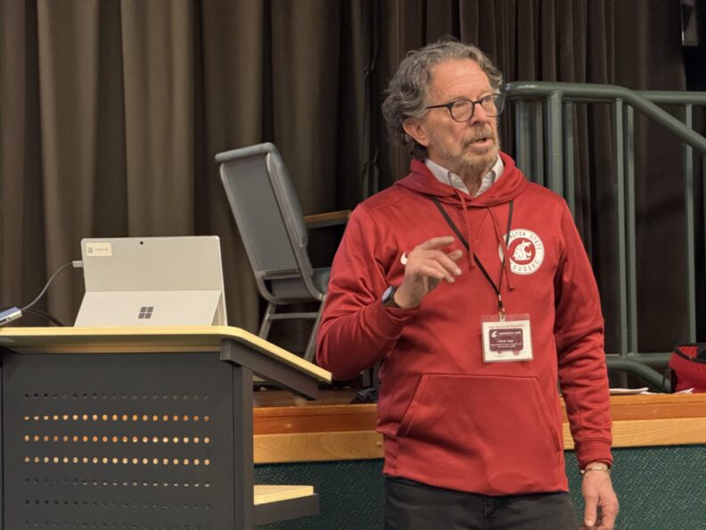 Wood chips in the demo garden