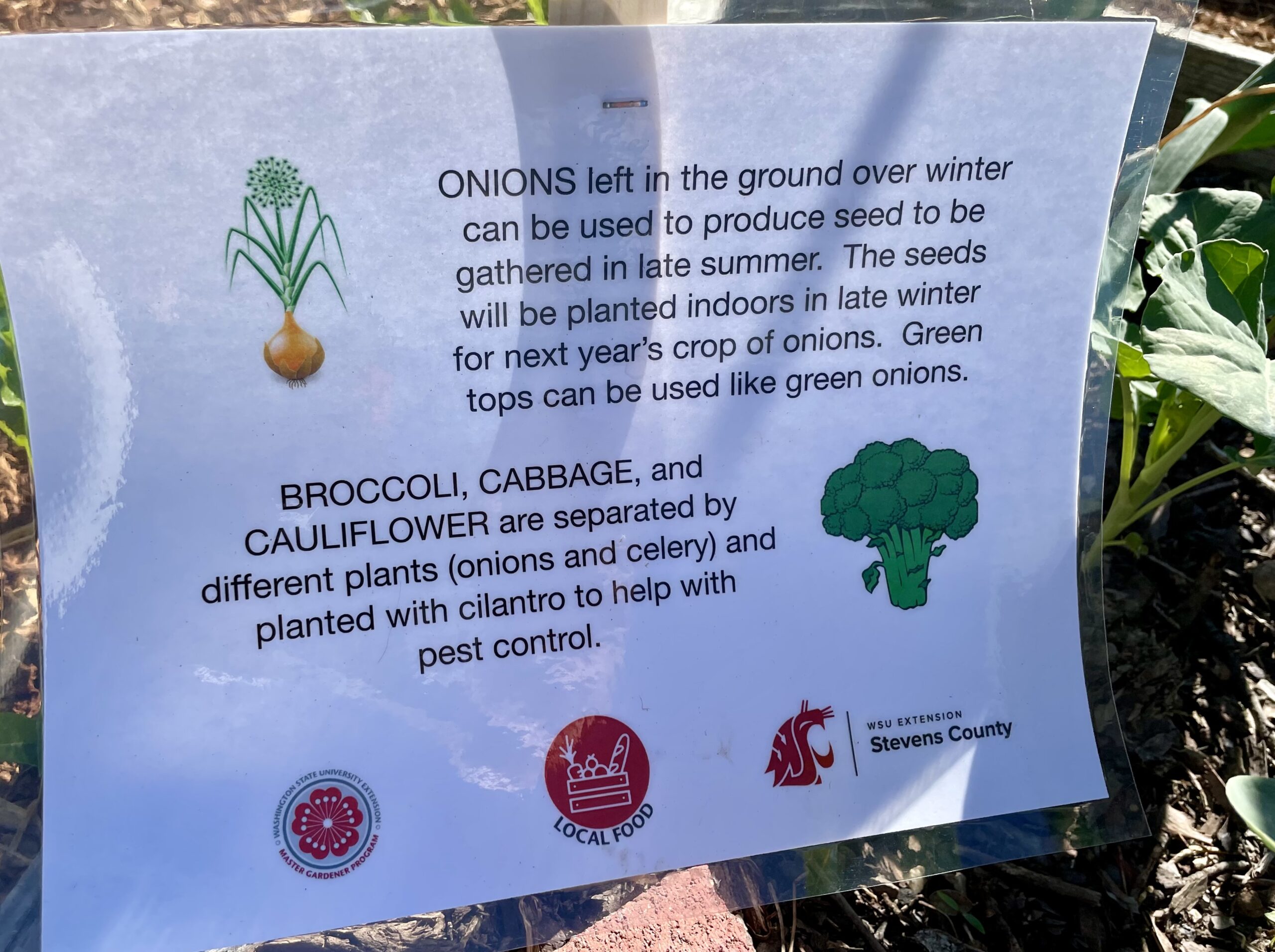 A sample of one of the educational signs added to the raised bed garden.