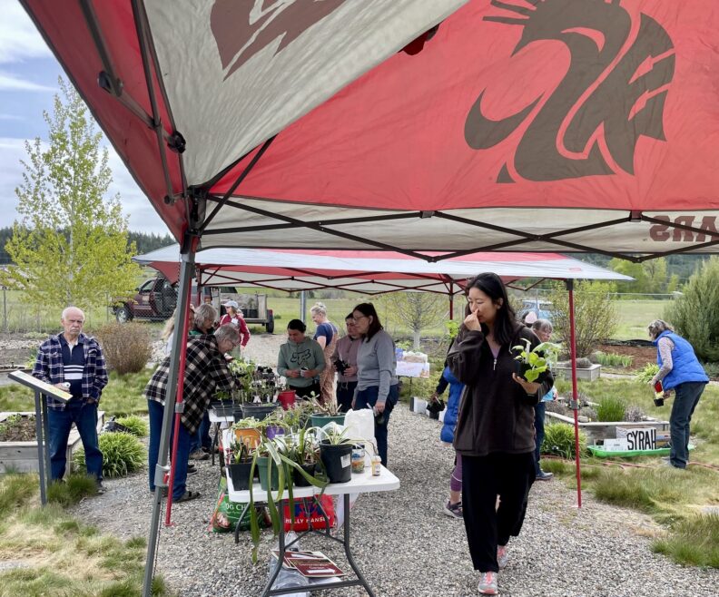 People attending the Plant Exchange