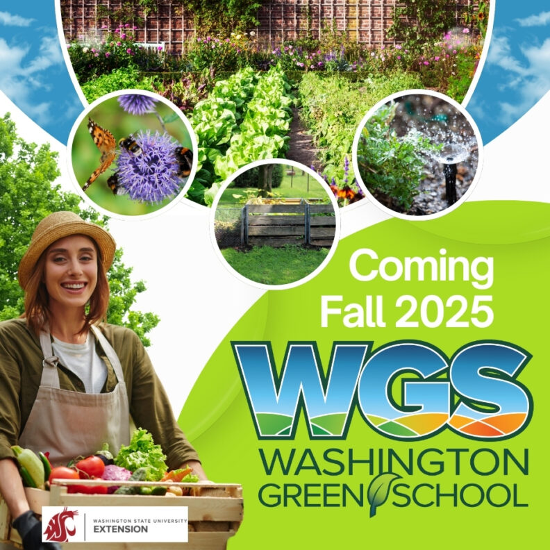 Coming Fall 2025 - WGS Washington Green School Pictures of vegetables and flowers growing in a garden and a smiling woman in a hat and farm clothing holding a box full of harvested vegetables