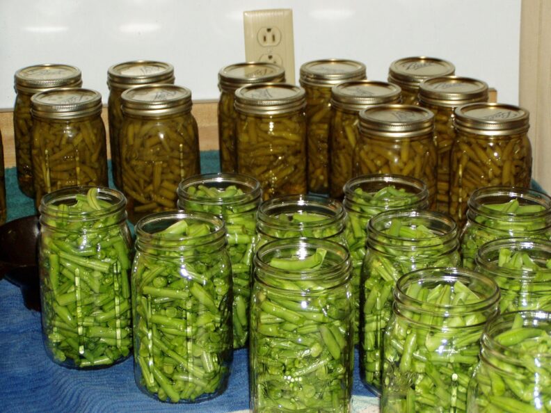 Several jars of canned green beans.  Darker beans in completed jars in the background and brighter green beans in jars that have not been pressure canned yet.