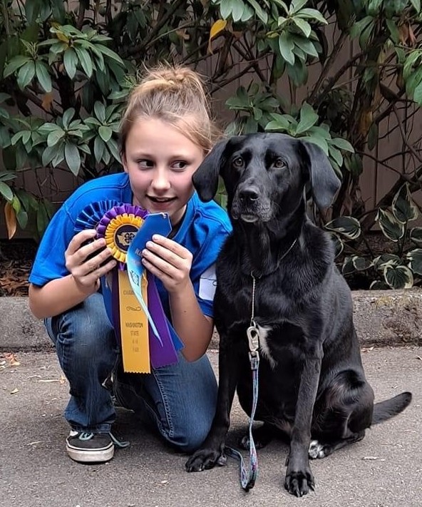 4-H girl crouching next to her dog and showing the ribbons that she won.