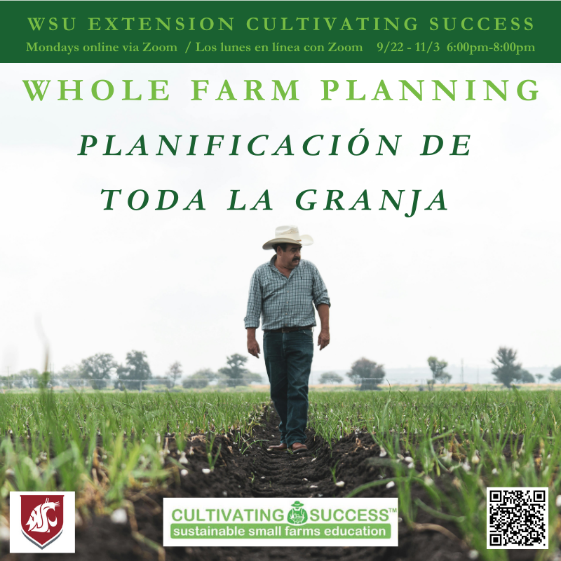 WSU Extension Cultivating Success Mondays online via Zoom / Los lunes en linea con Zoom  September 22nd to November 3rd, 6:00 p.m. - 8:00 p.m. 
Whole Farm Planning
Planificacion de Toda la Granja
Farmer walking down a row between plants in a field.  Logos along the bottom for WSU, Cultivating Success, and a QR code to the https://www.cultivatingsuccesswa.org/courseregistration website