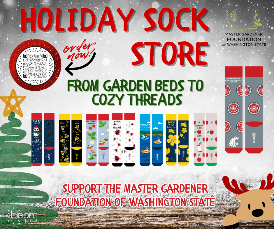 Holiday Sock Store supporting Master Gardener Foundation of Washington State.  From Garden Beds to Cozy Threads.  Support the Master Gardener Foundation of Washington State.  Pictures of a Christmas Tree, a Reindeer, and the sock choices available.