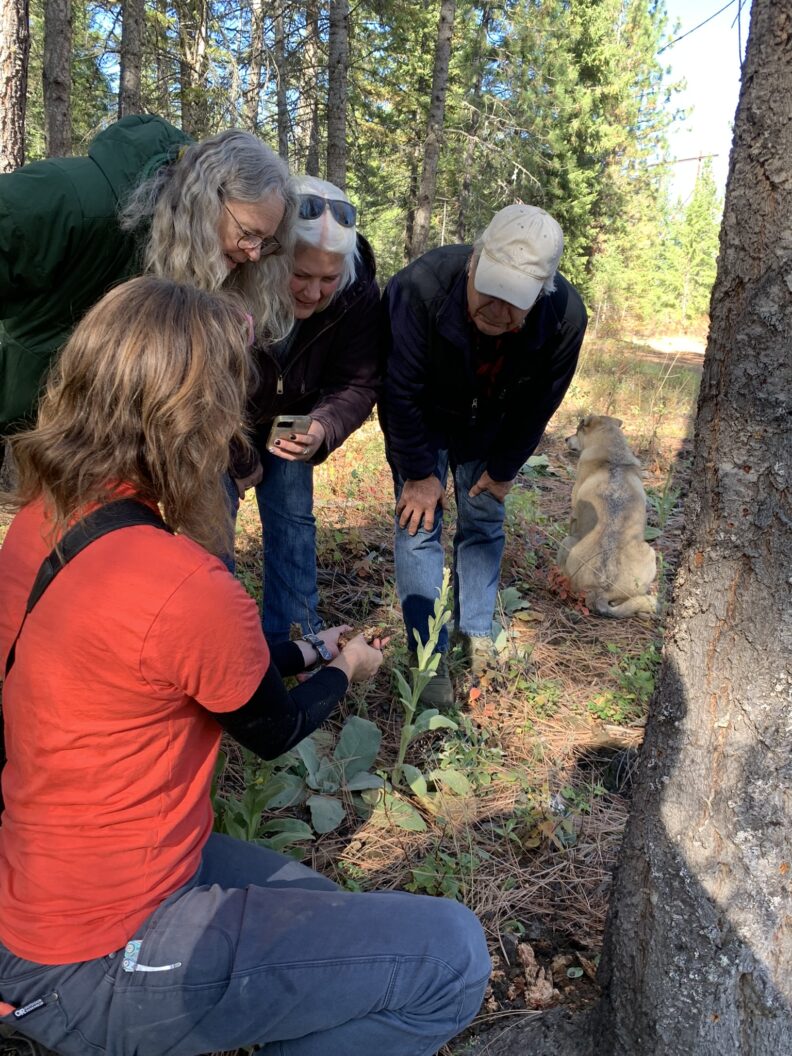 DNR Forest Entomologists, showing a group of small forest landowners an example of Armillaria root disease.