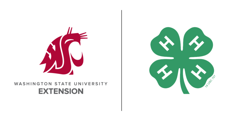 Combined logos for WSU Extension and 4-H