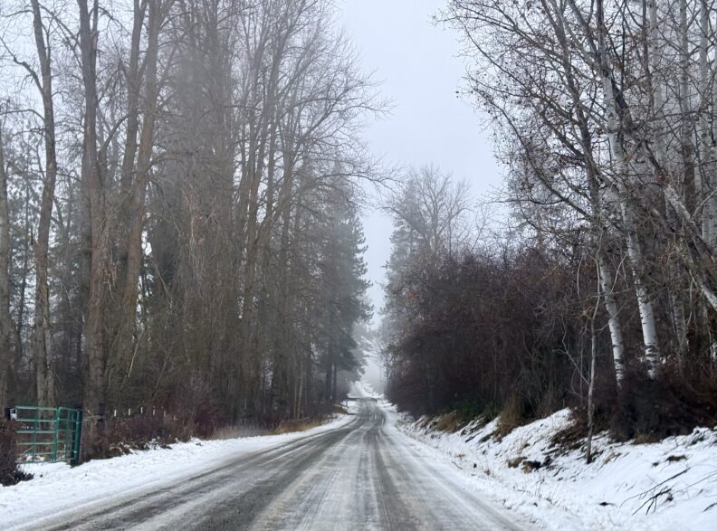 Snowy tree-lined dirt road with a livestock fence on the left