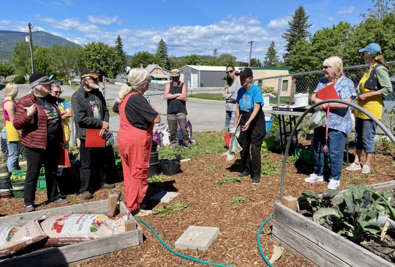 People attending the Grow Your Own Row event at the Colville Food Bank Garden. Master Gardener Dana stands in the middle wearing red overalls and speaking to the group.