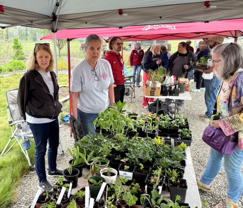 Master Gardeners Kathy B., Jean P., Phil T., Sheree C., and Dana C. working at one of the Plant Exchange events