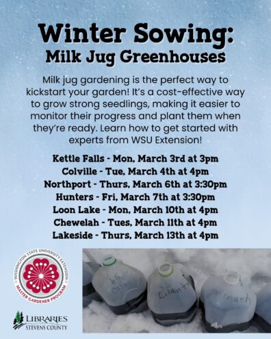 Libraries of Stevens County presents:Milk Jug Gardening is the perfect way to kickstart your garden! It's a cost-effective way to grow strong seedlings, making it easier to monitor their progress and plant the when they're ready. Learn how to get started with experts from WSU Extension! Loon Lake - Monday, February 9th at 3pm; Kettle Falls - Monday, February 23rd at 4pm; Lakeside - Monday, March 2nd at 3:30pm; Northport - Thursday, March 5th at 4pm; Chewelah - Tuesday, March 10th at 4pm; Colville - Wednesday March 18th at 4pm; Hunters - Friday, March 27th at 1pm