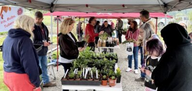 Master Gardener Plant Exchange event shows several people under canopies on both sides of a table covered in plants.