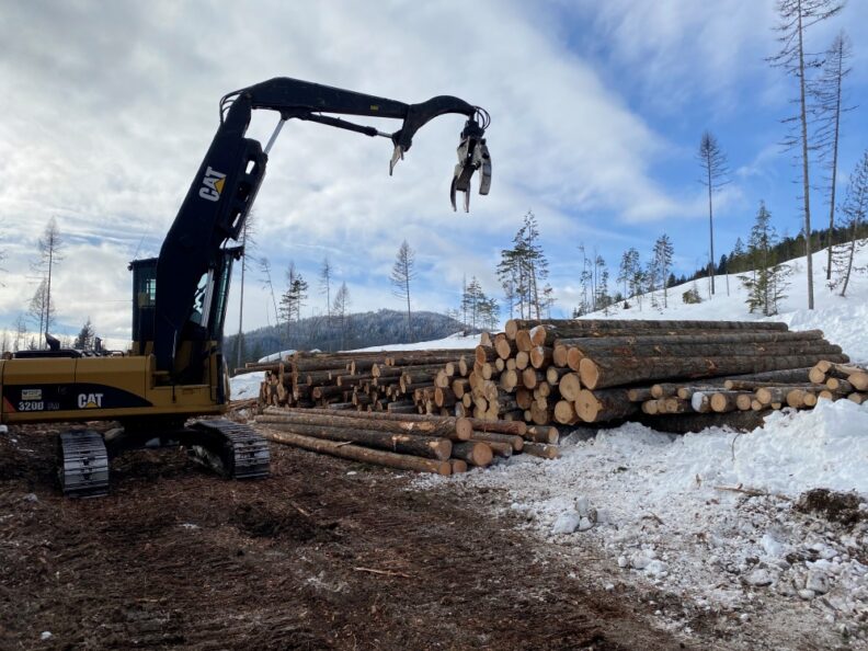 Log crane next to a pile of cut timber logs stacked against a snowy hillside