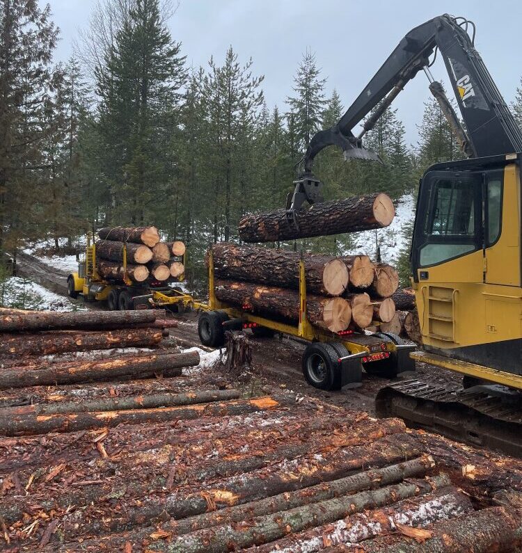 Crane lifting logs onto log trucks