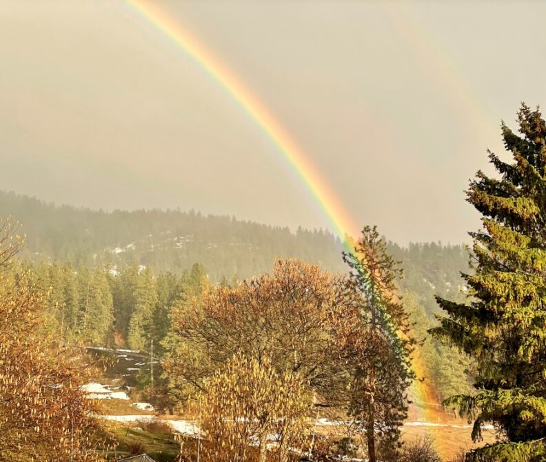 Bright Rainbow with spring trees in the rain and a bit of snow on the ground