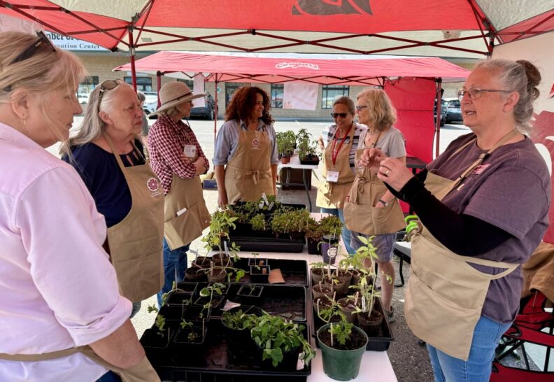 Aproned Master Gs-around-a-table-full-of-plants-for-exchange-1