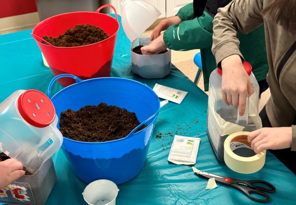 Kids at 9Mile Falls Elementary School putting soil and seeds in their milk jug greenhouses.